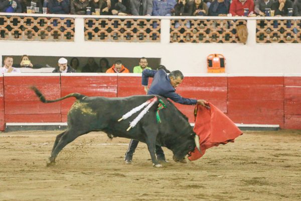 Toros Santa Maria. Queretaro. 2018